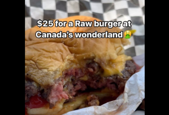 加拿大Wonderland踩雷：$25刀的食物不敢下嘴