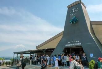 游客太多！日本小镇出奇招&quot;遮挡&quot;富士山