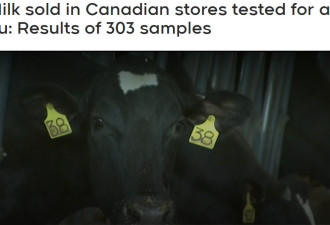 加拿大超市牛奶禽流感检测结果公布