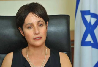 以色列驻华大使：巴勒斯坦建国没有免费通行证
