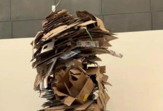 央美毕业作品被吐槽一堆废纸壳 作者：造价上万