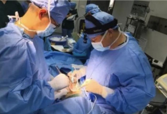 世界首例 安徽医院：猪肝成功移植到人类活体