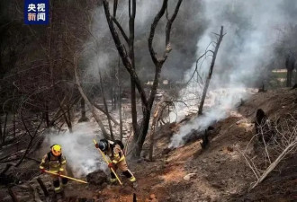 这场大火致137死嫌犯是消防员与林业官