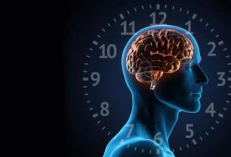 颠覆认知！最新研究，睡眠并不能促进大脑排毒