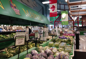 加拿大超市三巨头“肉蛋奶米”价格大对比：它才是真便宜的！