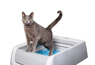 立减$47, ScoopFree自动自清洁猫垃圾箱，包括一次性水晶猫砂托盘