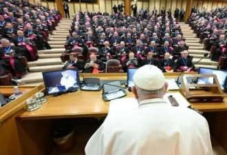 87岁教皇开会时说出冒犯性词语，台下笑声一片