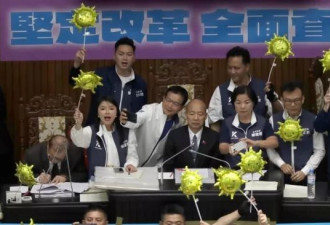 史上罕见 台湾这场针对立法院在野党的抗争背后