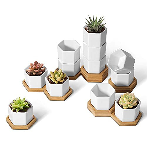 [集市好物]减价中~ 12个小型陶瓷花盆，带托盘的室内装饰植物小花盆