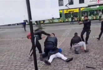 德国：男子一刀刺进警察脖子 多人受伤