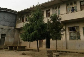 湖南妹子留学澳洲后跻身中企500强