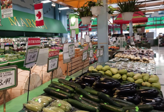 太贵了！加拿大政党提议：给食品杂货价格设上限！除非超市……