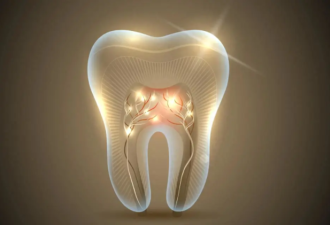 全球首个牙齿再生药物九月进入人体试验