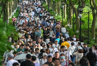 海外华侨华人总数连年增加广东全国第一