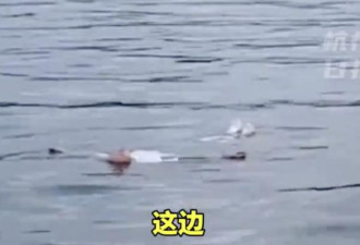 女子西湖溺水“躺平”自救 快艇赶到救上岸