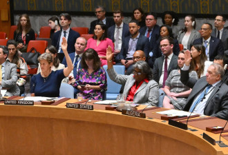 安理会新决议,&quot;以色列已接受&quot;,停火方案分三阶段
