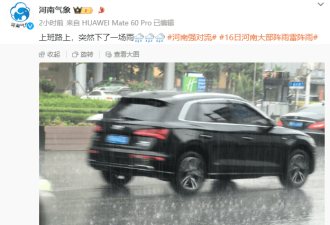 河南终于下雨了!大妈开心激动跪拜
