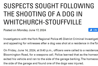 约克区民宅车库旁宠物狗遭枪击 警方寻找嫌疑人