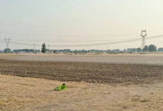 河南人快扛不住了:一个月只下一次雨,最高温41℃