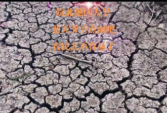 多图：安徽、河南、山东…上不了热搜的大干旱