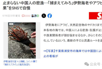 中国游客日本赶海 狂捞龙虾鲍鱼被罚几万差点坐牢