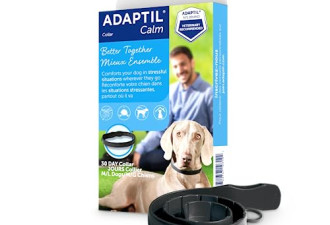8.5 折, ADAPTIL Collar 让狗狗安静和舒缓紧张情绪