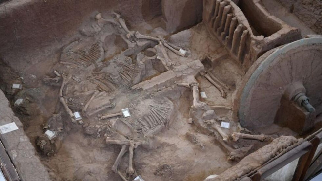 中国古代酷刑2500年前的骸骨见证斑斑