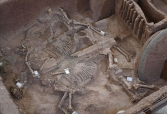 中国古代酷刑 2500年前的骸骨见证斑斑