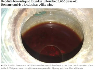2000年前葡萄酒什么样？迄今最古老
