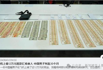 中国男子在新加坡飞机上偷走超12万新币