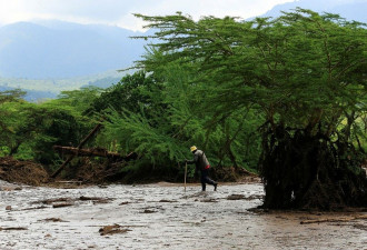 华女非洲遇洪水，抱树12小时求生！