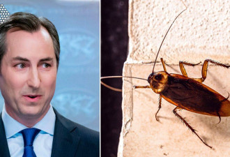 美国务院发言人记者会上惊喊：墙上有大蟑螂