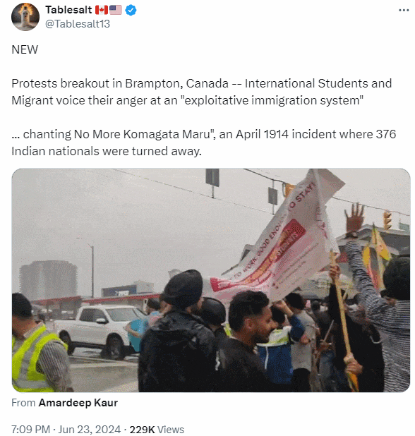 失控!加拿大数百留学生冒雨上街抗议!全民怒炸:大规模驱逐！