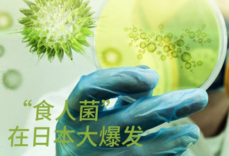 致命“食人菌”席卷日本 上千人感染