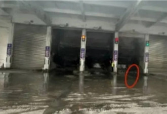 恐怖：广东清洁工被垃圾车撞进压缩机 失踪59天