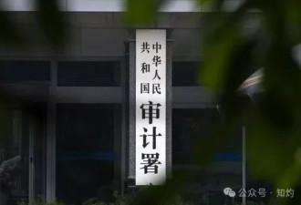 审计署:66个县挪用学生营养餐补助偿还地方债