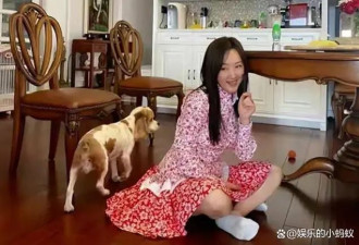 杨钰莹的庭院生活：52岁独居 种菜养花与狗为伴