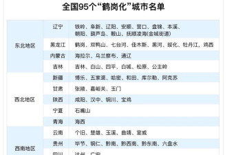 全国95个城市“鹤岗化” 年轻人的退路原来在这