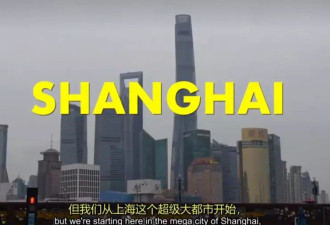 144小时免签的外国人，都来上海做什么