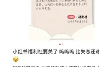 32岁不让进?年轻人喜欢的小红书被曝最高裁员30%