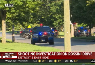 底特律街头派对发生大型枪击 2死18伤