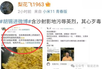 胡锡进摊上事了！发了张蛋炒饭图片，网友已报案