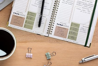 简化的待办事项列表 计划笔记本 采用抽象叶子设计