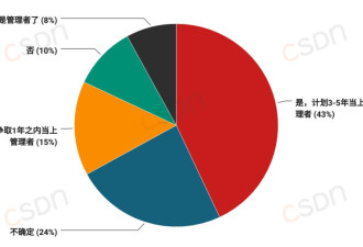 2024中国开发者调查报告: 月薪集中在8k-17k……