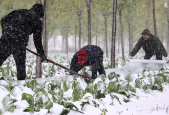 三中全会农村篇: 重回集体经济的三大宿命？