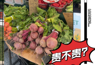 【视频】加拿大人逛不逛菜市场？这里的蔬果价格对比超市怎么样？
