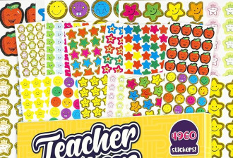 紫色瓢虫 4960 教师贴纸超级超值包