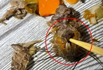 老坛酸菜牛肉面中吃出鼠头？统一食品：正核实