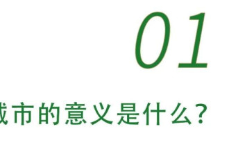 “替大家试过了，回县城真的会后悔”