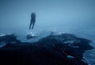 可怕的海底湖泊，掉入其中的生物无法逃脱